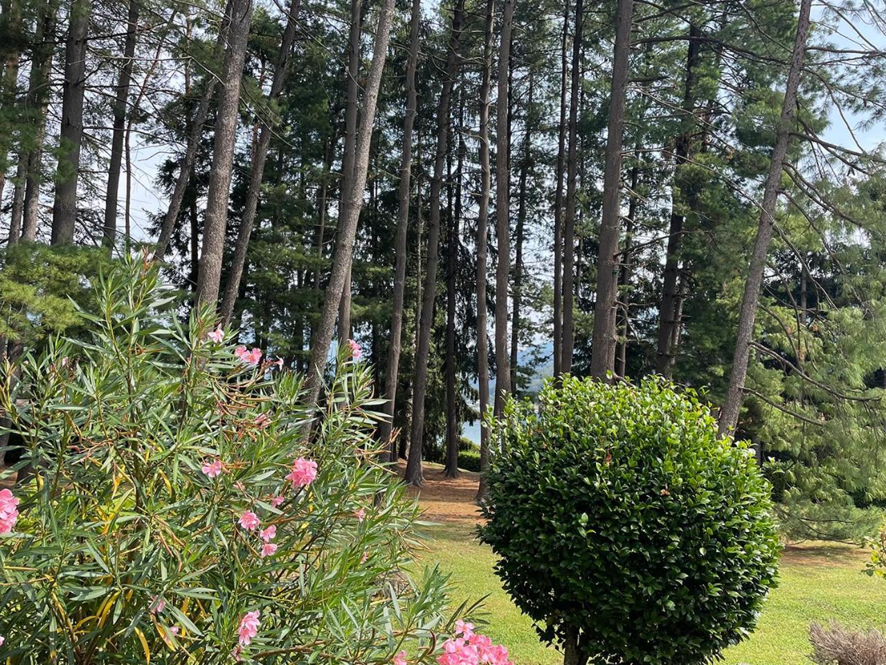 Villa Mario - Casa Vacanze Lavena Ponte Tresa Ngoại thất bức ảnh